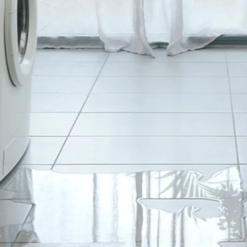 Appliance Leak Cleanup in Fairfield Beach, OH