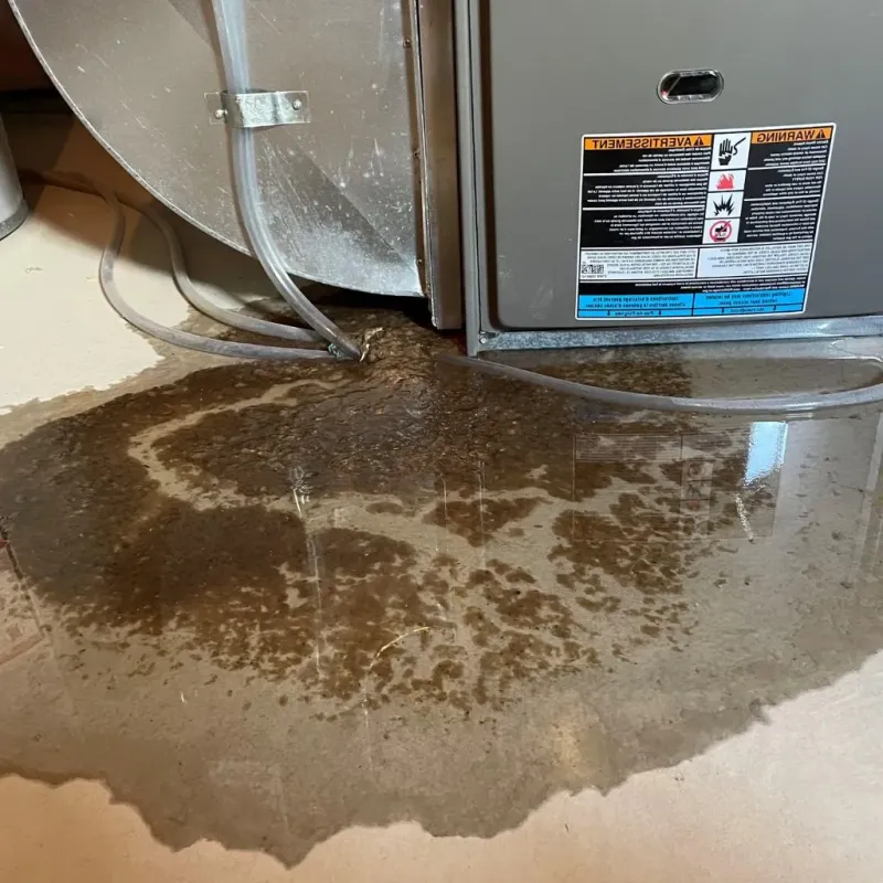 Pipe Burst and Leak Restoration in Fairfield Beach, OH