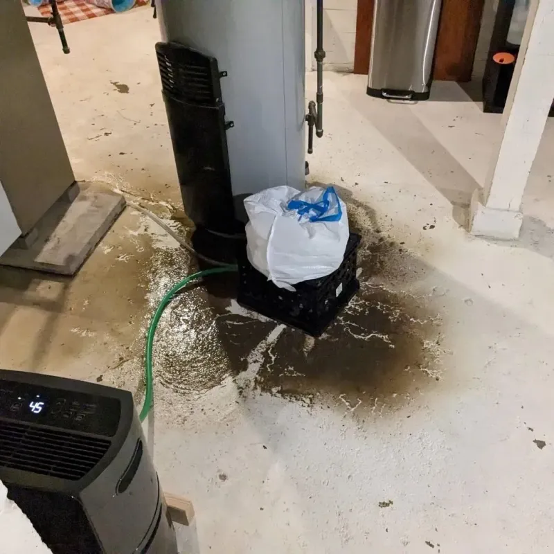 Sewage Backup Cleanup Service in Fairfield Beach, OH